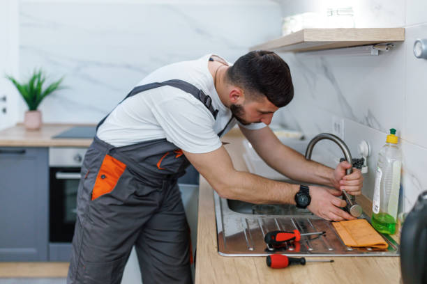 Best Plumbing Services Near Me  in Manitou Beach Devils Lake, MI