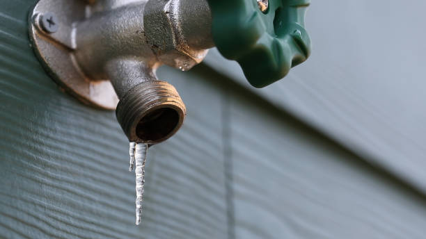 Best Affordable Plumbing Services  in Manitou Beach Devils Lake, MI