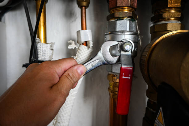 Best Clogged Drain Plumber  in Manitou Beach Devils Lake, MI